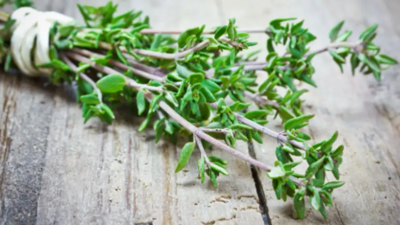 La pianta magica che trasforma il giardino: cresce facilmente e profuma ogni angolo di casa Immagine selezionata