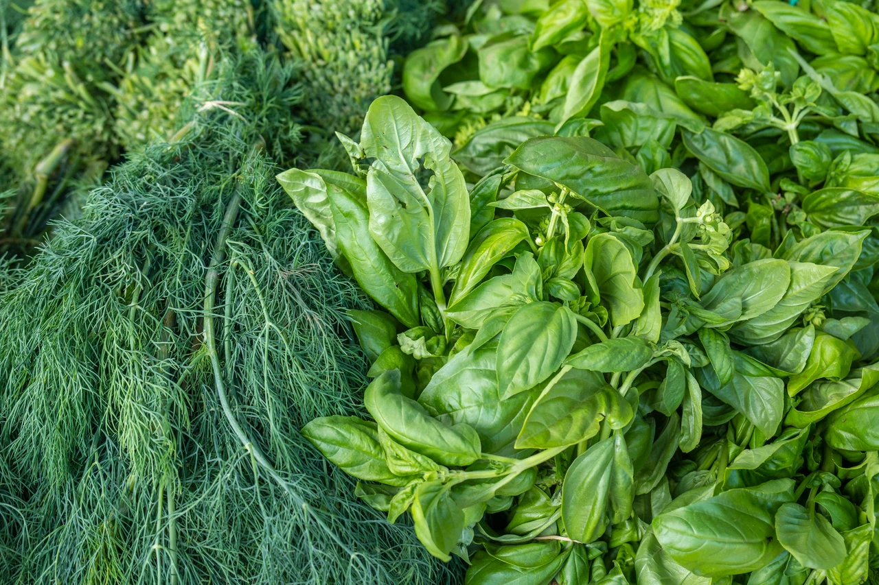 La verdura verde che i medici adorano: ecco perché dovresti mangiarla tutti i giorno Immagine selezionata