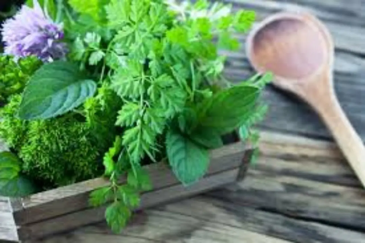 La verdura verde che i medici adorano: ecco perché dovresti mangiarla tutti i giorno Immagine selezionata