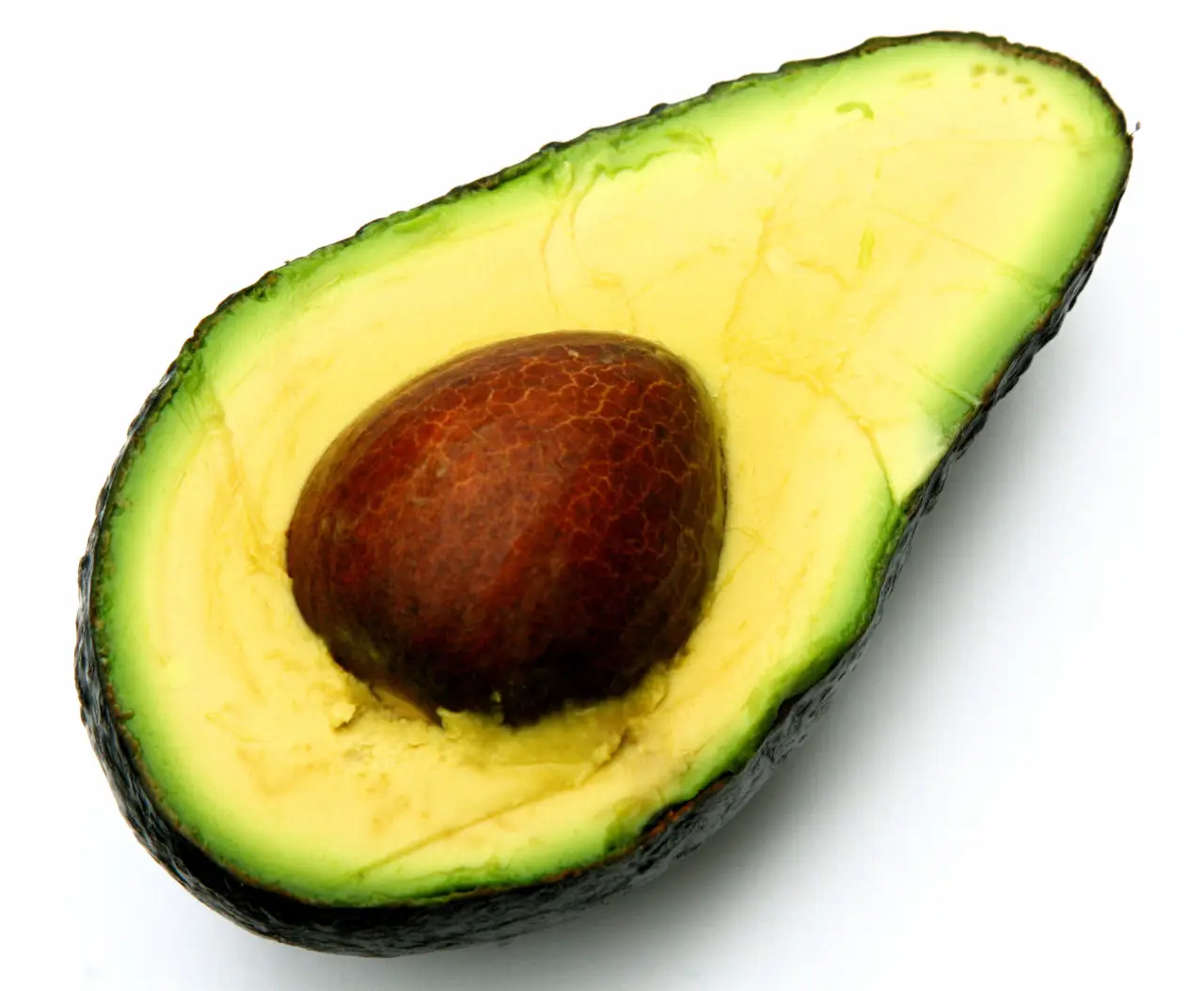 Vuoi avocado giganti dal tuo albero? Il trucco segreto che i giardinieri non ti dicono Immagine selezionata