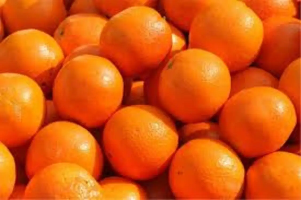 I sette sieri alla vitamina C che stanno facendo impazzire chi ama la pelle perfetta: li hai già provati? Immagine selezionata
