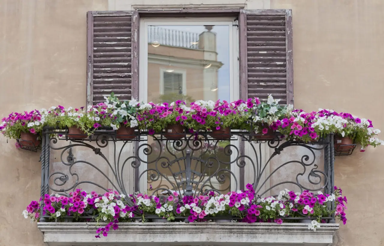 Scopri la pianta da seminare ad aprile per avere un balcone in fiore tutto l’anno: il trucco che sorprende sempre Scopri la pianta da seminare ad aprile per avere un balcone in fiore tutto l’anno: il trucco che sorprende sempre