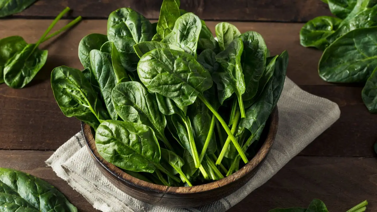 Guida per capire quando gli spinaci sono maturi per la raccolta Immagine selezionata