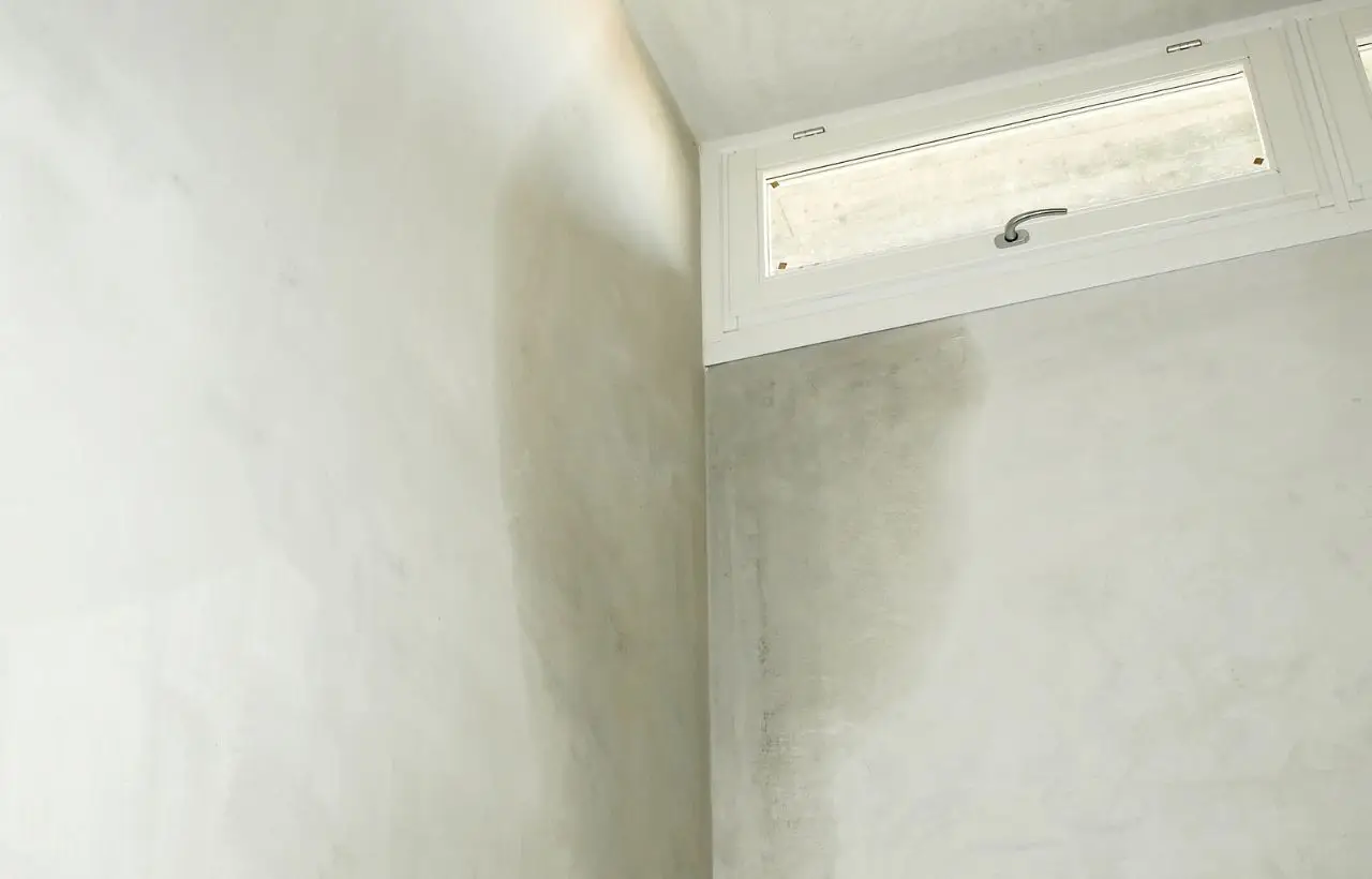 Ecco come togliere l’umidità dai muri senza spendere una fortuna Immagine selezionata