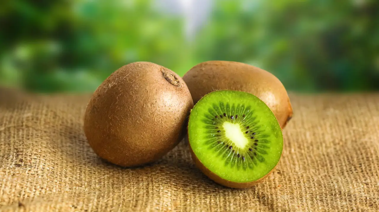 Il kiwi alleato della digestione ecco come consumarlo per favorire il benessere intestinale Il kiwi alleato della digestione ecco come consumarlo per favorire il benessere intestinale