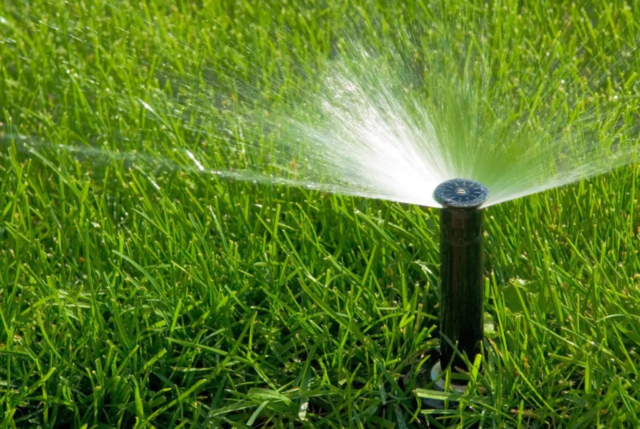 I trucchi dell’agronomo per avere un prato fitto e resistente anche in città SC - prato fitto