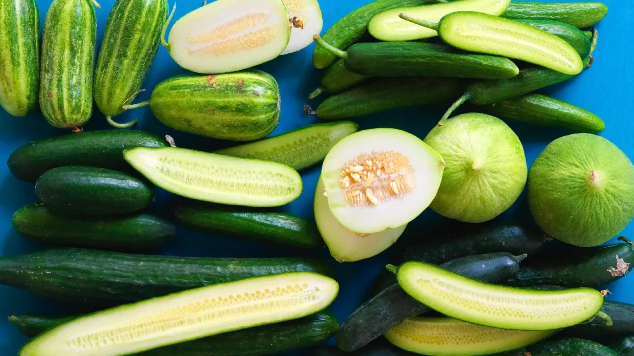 Scopri come piantare il cetriolo correttamente per una crescita ottimale Scopri come piantare il cetriolo correttamente per una crescita ottimale