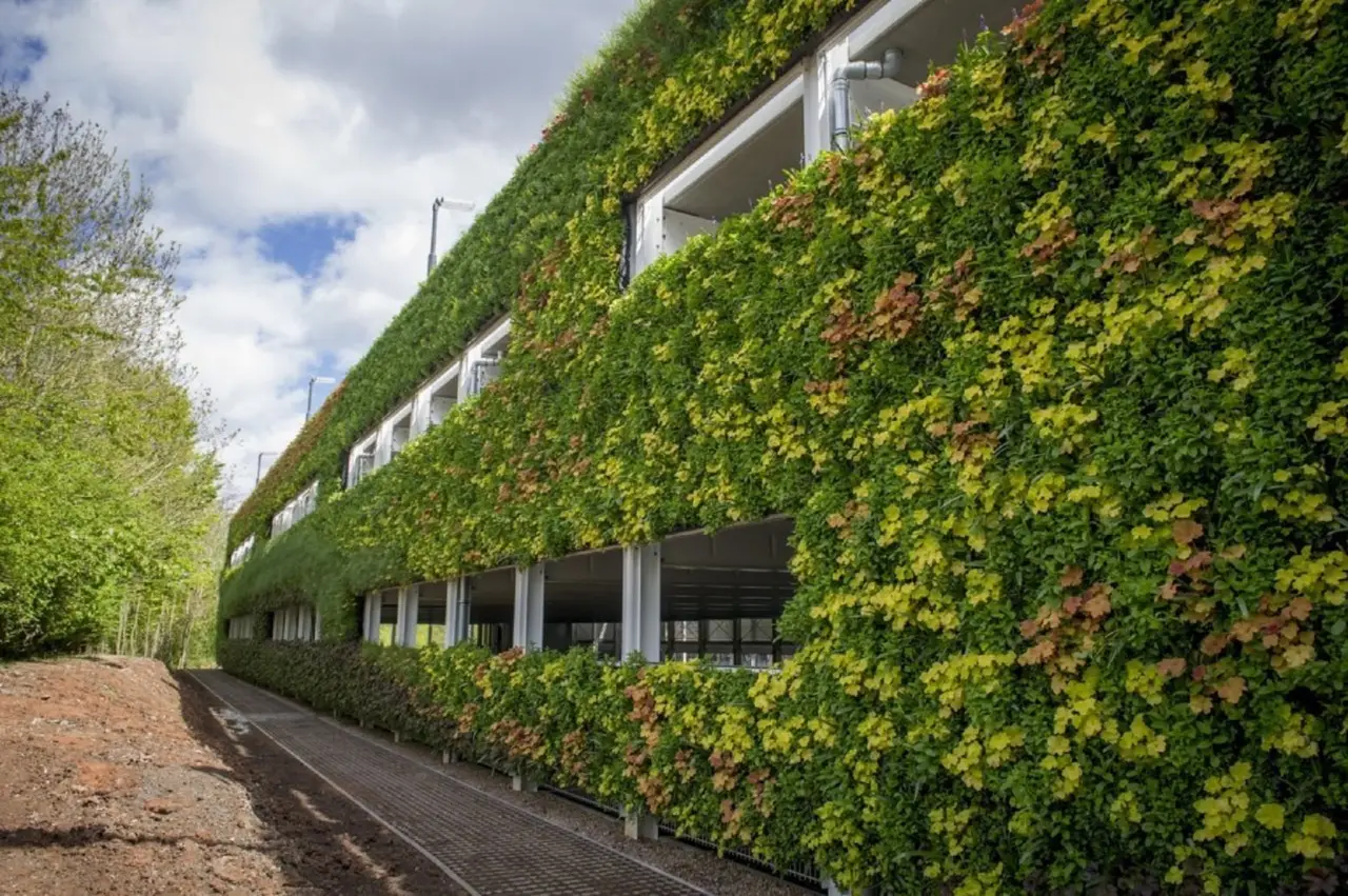Come progettare un angolo verde verticale sul balcone senza troppa manutenzione Come progettare un angolo verde verticale sul balcone senza troppa manutenzione