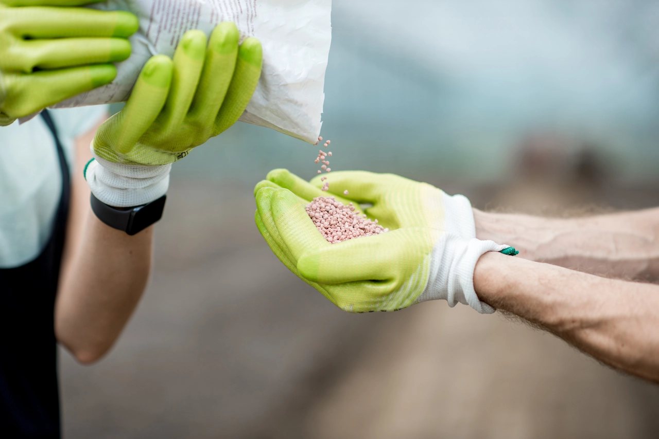 L’errore da non fare mai con il concime liquido L’errore da non fare mai con il concime liquido