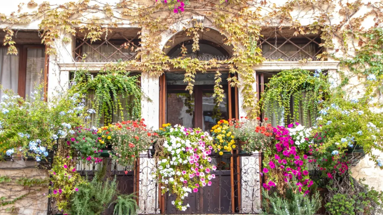 Piante tappezzanti ideali per piccoli spazi: soluzioni facili per il balcone